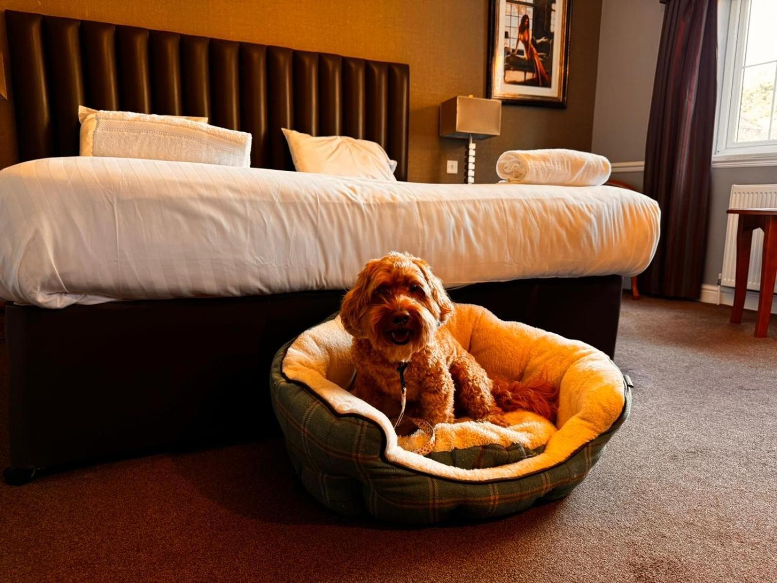 The Ashbourne Hotel North Killingholme Екстериор снимка